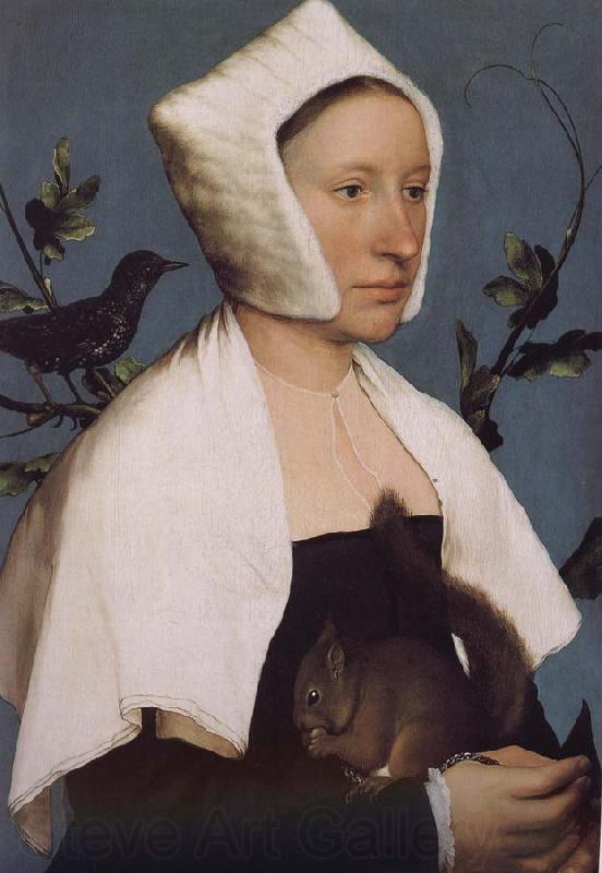 Hans Holbein With squirrels and birds swept Europe and the portrait of woman Norge oil painting art